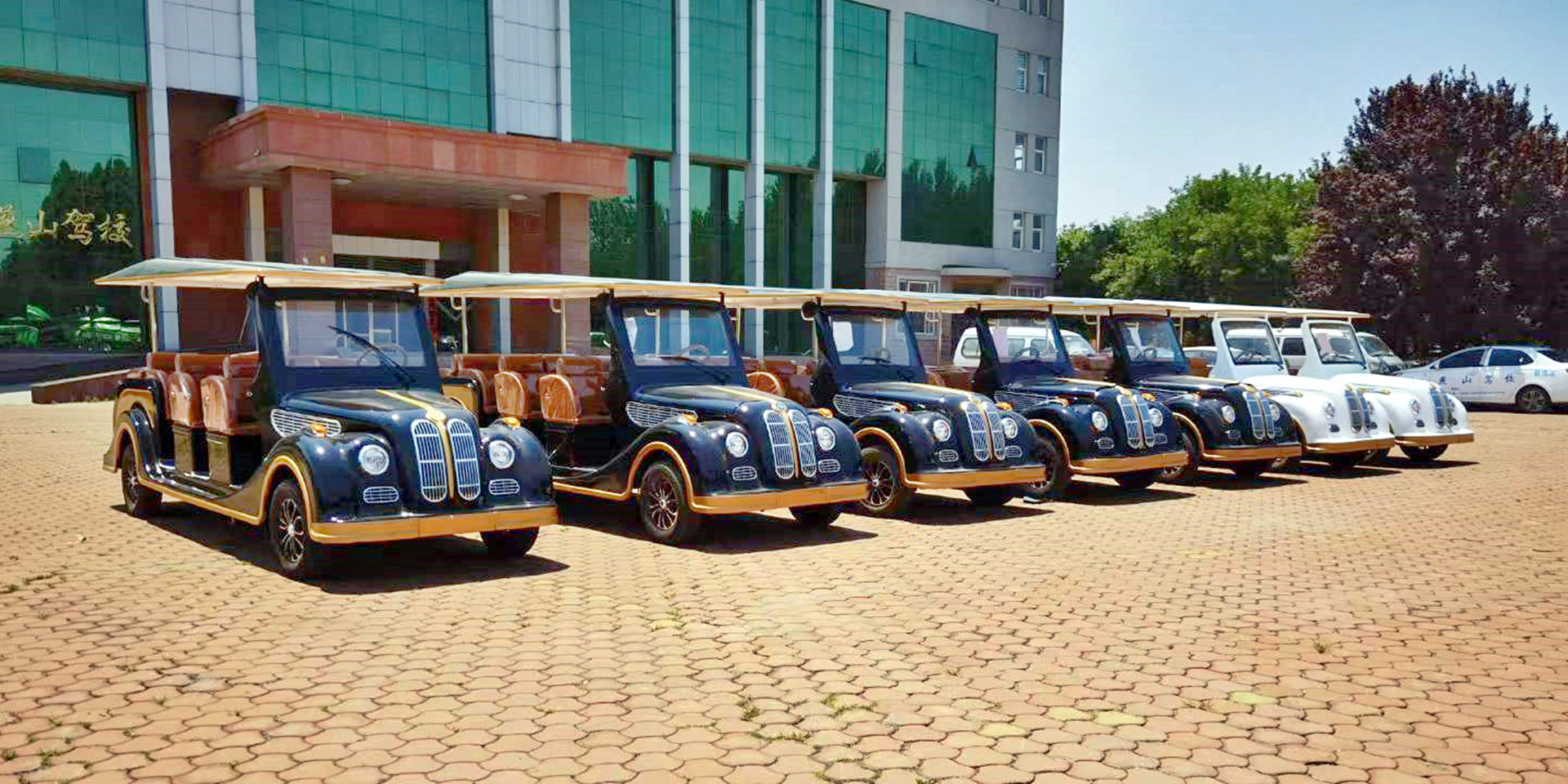 Anman Golf Cart, Electric Classic Car