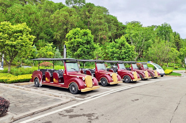 Anman Electric Sightseeing Car in the Flower Sea Scenic Area of Yunnan, China