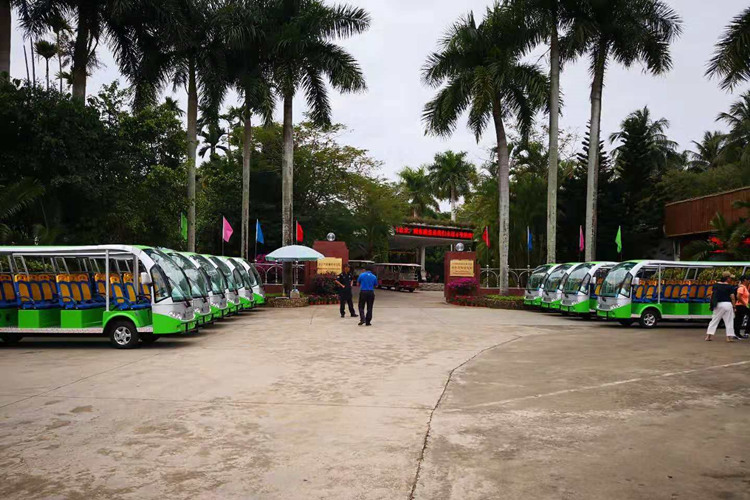 Sightseeing vehicles used in tropical botanical gardens