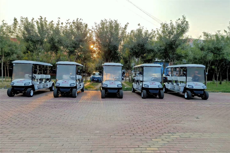 Customized 6-seater golf cart for theme park