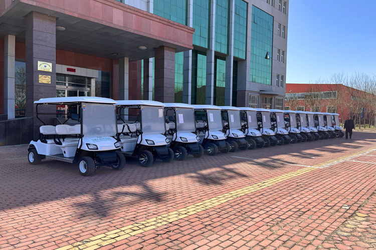 Economic golf carts exported overseas