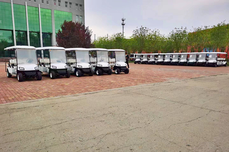 Golf carts exported to Africa