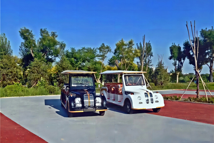 Electric vintage car for park sightseeing reception