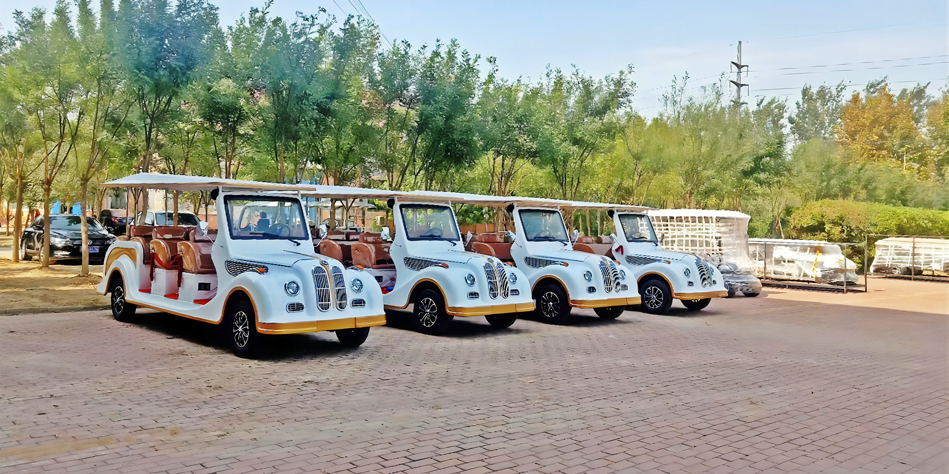 Four row electric sightseeing car, 11 seat electric vintage car, classic golf cart