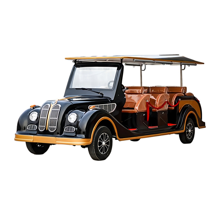 8-11 seater electric classic sightseeing car