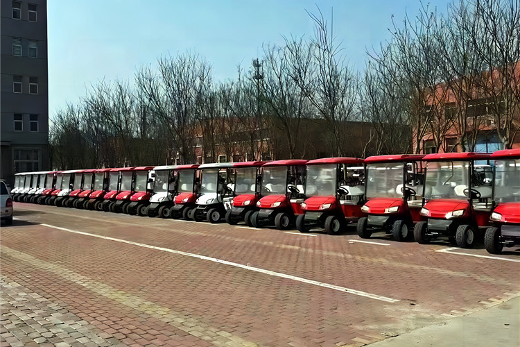 Economy Golf Cart Customized by Russian Customers