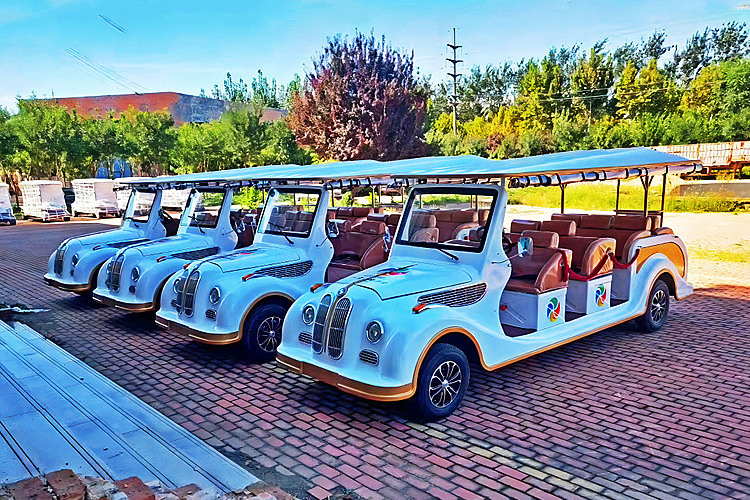 Resort Hotel Purchase Anman Electric Classic Car