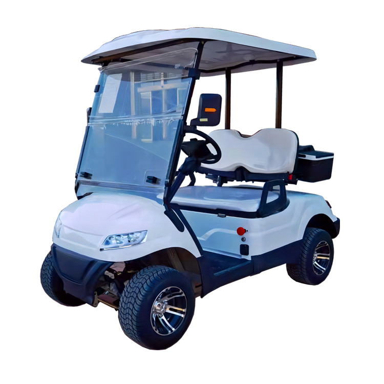 2-seater electric golf cart (FL2)